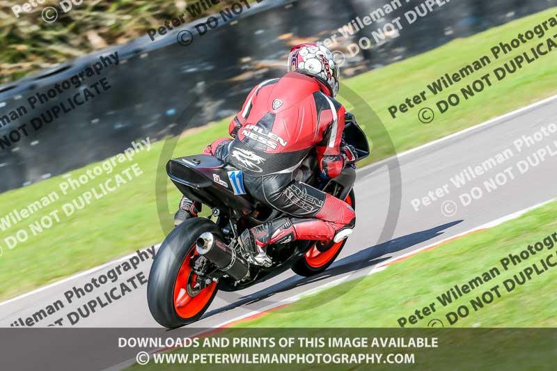 Oulton Park 20th March 2020;PJ Motorsport Photography 2020;anglesey;brands hatch;cadwell park;croft;donington park;enduro digital images;event digital images;eventdigitalimages;mallory;no limits;oulton park;peter wileman photography;racing digital images;silverstone;snetterton;trackday digital images;trackday photos;vmcc banbury run;welsh 2 day enduro